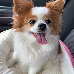 Meet your Posher, Nicole